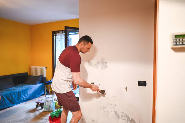 Best Kitchen Mold Remediation in Boulder City, NV